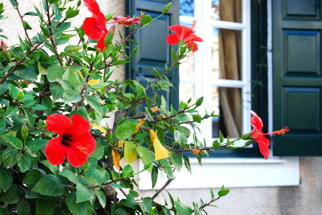 Hotel Twin House Spetses Exterior foto