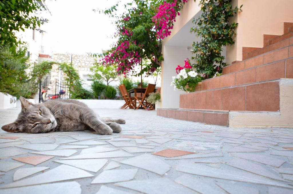 Hotel Twin House Spetses Exterior foto